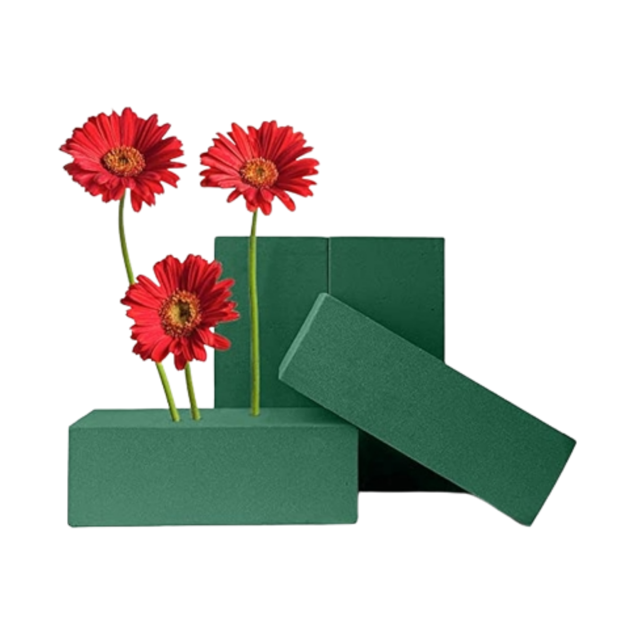 Oasis Floral Foam green block available for pickup at Chan Mow Supermarket Saleufi