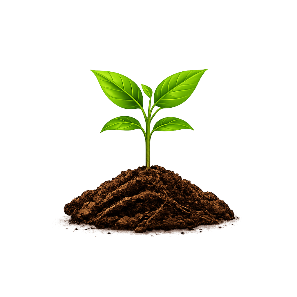 Samoa Agriculture Store Company Limited (SASCO)